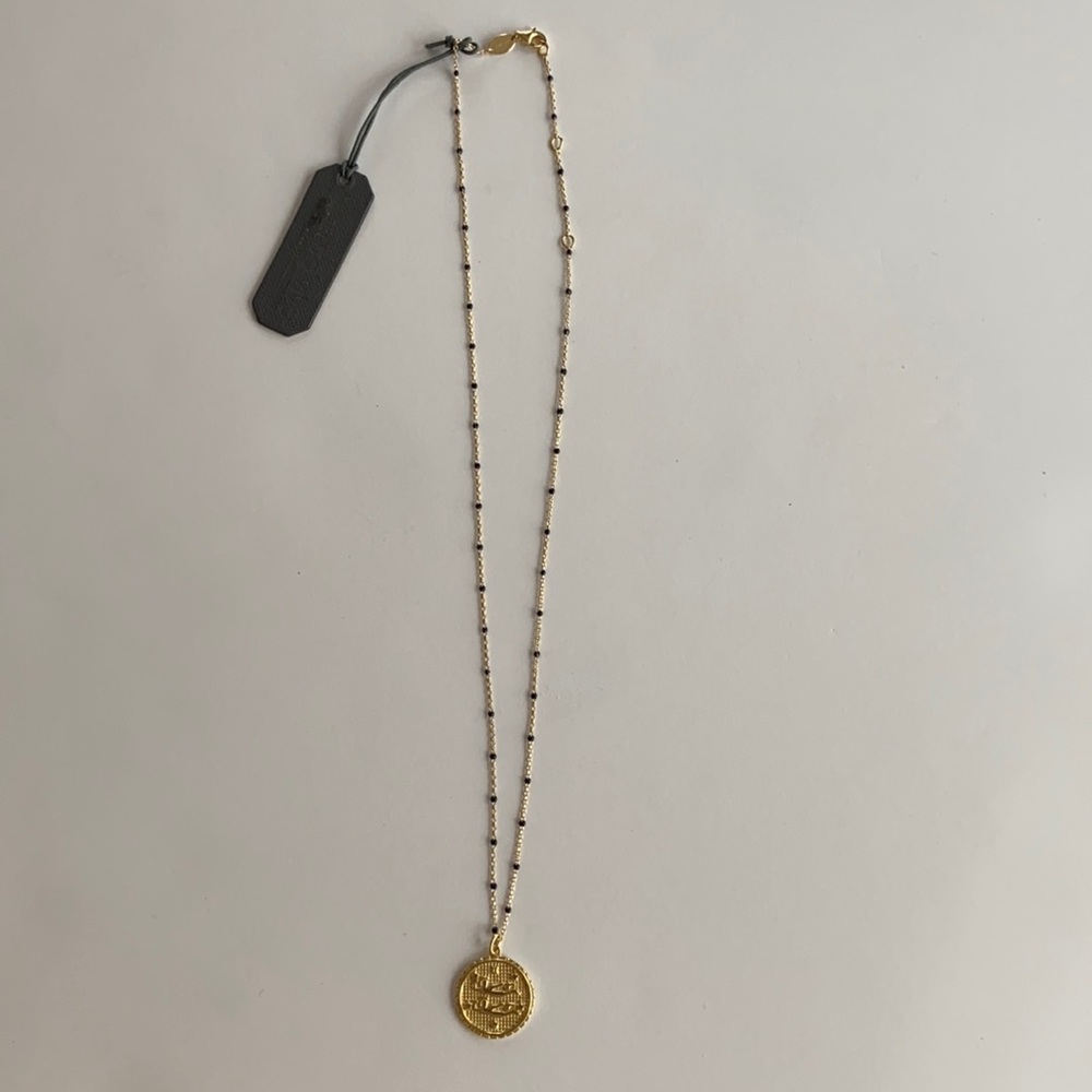 Argento Vivo Gemini ♊️ Necklace
